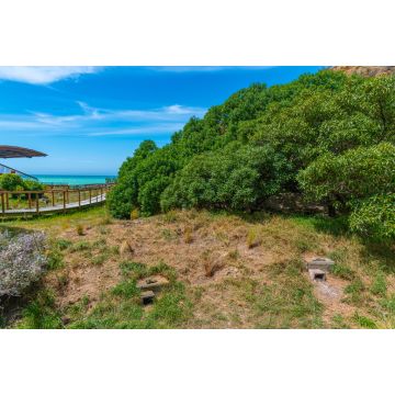 Lais Puzzle - Beobachtungsgebiet der Oamaru Blue Penguin Colony in Neuseeland - 2.000 Teile