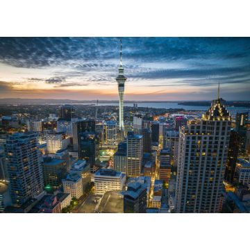 Lais Puzzle - Auckland Stadt Neuseeland - 1.000 Teile