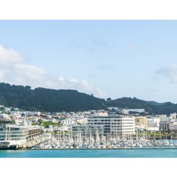 Lais Puzzle - Chaffer's Wharf und Yachthafen am Hafen von Wellington - 40, 100, 200, 500, 1.000 & 2.000 Teile