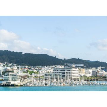 Lais Puzzle - Chaffer's Wharf und Yachthafen am Hafen von Wellington - 1.000 Teile