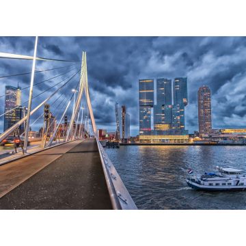Lais Puzzle - Skyline von Rotterdam. Schöne Aussicht nach Sonnenuntergang - 1.000 Teile
