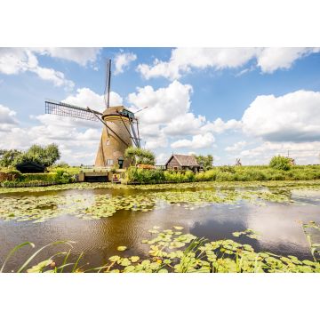 Lais Puzzle - Landschaftsblick auf die alten Windmühlen bei sonnigem Wetter in Kinderdijk, Niederlande - 1.000 Teile
