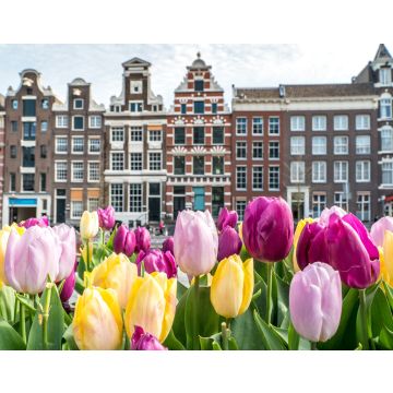 Lais Puzzle - Traditionelle alte Gebäude in Amsterdam mit bunten Tulpen - 40, 100, 200, 500, 1.000 & 2.000 Teile