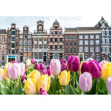 Lais Puzzle - Traditionelle alte Gebäude in Amsterdam mit bunten Tulpen - 1.000 Teile