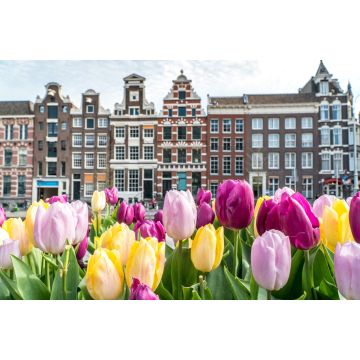 Lais Puzzle - Traditionelle alte Gebäude in Amsterdam mit bunten Tulpen - 2.000 Teile