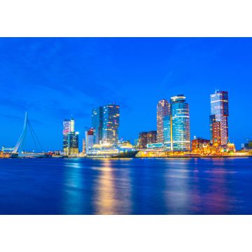 Lais Puzzle - Nachtansicht des Holland america line Gebäudes und anderer Wolkenkratzer in Rotterdam, Niederlande - 1.000 Teile