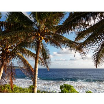 Lais Puzzle - Kokosnusspalmen auf der tropischen Insel Niue im Südpazifik - 40, 100, 200, 500, 1.000 & 2.000 Teile