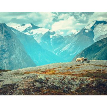 Lais Puzzle - Szenische norwegische Landschaft - 40, 100, 200, 500, 1.000 & 2.000 Teile