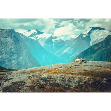 Lais Puzzle - Szenische norwegische Landschaft - 2.000 Teile