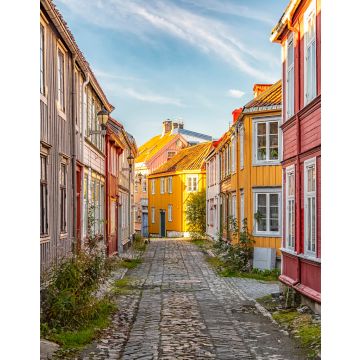 Lais Puzzle - Trondheim Enge Kopfsteinpflasterstraße - 40, 100, 200, 500, 1.000 & 2.000 Teile