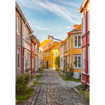 Lais Puzzle - Trondheim Enge Kopfsteinpflasterstraße - 1.000 Teile