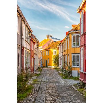Lais Puzzle - Trondheim Enge Kopfsteinpflasterstraße - 2.000 Teile