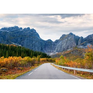 Lais Puzzle - Straße in Norwegen, Lofoten-Inseln, goldener Herbst an der Felswand der Berge - 1.000 Teile