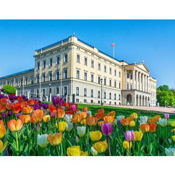 Lais Puzzle - Oslo / Königliches Schloss - 40, 100, 200, 500, 1.000 & 2.000 Teile
