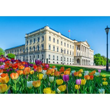 Lais Puzzle - Oslo / Königliches Schloss - 1.000 Teile