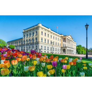 Lais Puzzle - Oslo / Königliches Schloss - 2.000 Teile