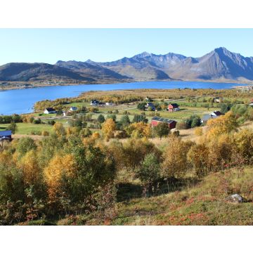 Lais Puzzle - Die wunderschönen Fjorde der Lofoten in Nordnorwegen - 40, 100, 200, 500, 1.000 & 2.000 Teile