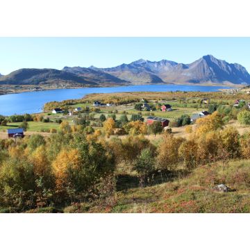 Lais Puzzle - Die wunderschönen Fjorde der Lofoten in Nordnorwegen - 1.000 Teile