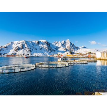 Lais Puzzle - Kleiner Fischereihafen von Ballstad, Lofoten, Norwegen - 40, 100, 200, 500 & 1.000 Teile