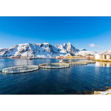 Lais Puzzle - Kleiner Fischereihafen von Ballstad, Lofoten, Norwegen - 1.000 Teile