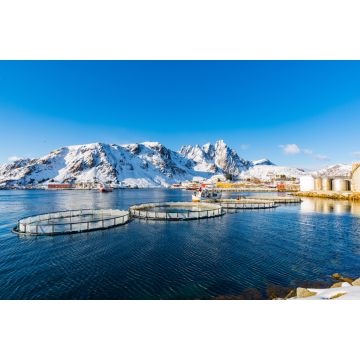 Lais Puzzle - Kleiner Fischereihafen von Ballstad, Lofoten, Norwegen - 2.000 Teile