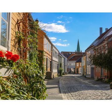Lais Puzzle - Bakklandet, Trondheim - 40, 100, 200, 500, 1.000 & 2.000 Teile