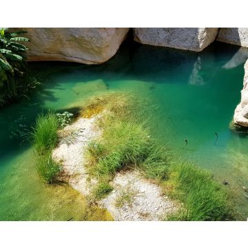 Lais Puzzle - Blaugrüne Wasserlöcher im Wadi Shab, Oman - 40, 100, 200, 500, 1.000 & 2.000 Teile