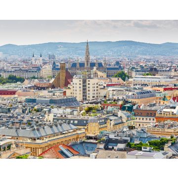 Lais Puzzle - Luftaufnahme des Stadtzentrums von Wien - 40, 100, 200, 500, 1.000 & 2.000 Teile