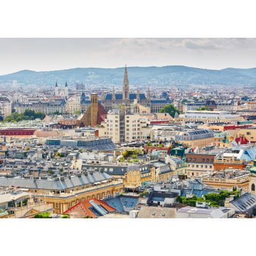 Lais Puzzle - Luftaufnahme des Stadtzentrums von Wien - 1.000 Teile