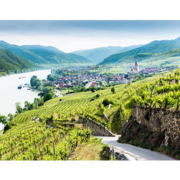 Lais Puzzle - Blick in die Wachau mit der Donau und dem Ort Weißenkirchen in Niederösterreich - 40, 100, 200, 500, 1.000 & 2.000 Teile
