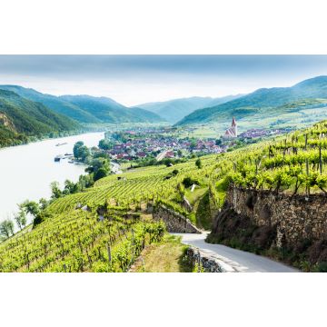 Lais Puzzle - Blick in die Wachau mit der Donau und dem Ort Weißenkirchen in Niederösterreich - 2.000 Teile