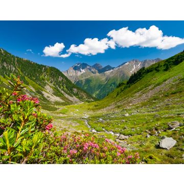 Lais Puzzle - Schöne sommerliche Berglandschaft in den Stubaier Alpen bei der Neuen Regensburger Hütte, Österreich - 40, 100, 200, 500, 1.000 & 2.000 Teile