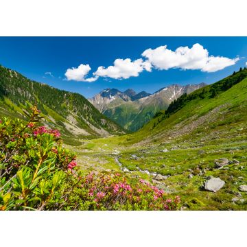 Lais Puzzle - Schöne sommerliche Berglandschaft in den Stubaier Alpen bei der Neuen Regensburger Hütte, Österreich - 1.000 Teile
