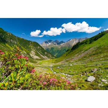 Lais Puzzle - Schöne sommerliche Berglandschaft in den Stubaier Alpen bei der Neuen Regensburger Hütte, Österreich - 2.000 Teile