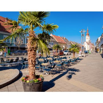 Lais Puzzle - Hauptplatz mit Palmen am Straßencafé und der katholischen Kirche St. Jakobus in der Stadt Leibnitz in der Steiermark in Österreich. Architektur des Doms - 40, 100, 200, 500, 1.000 & 2.000 Teile