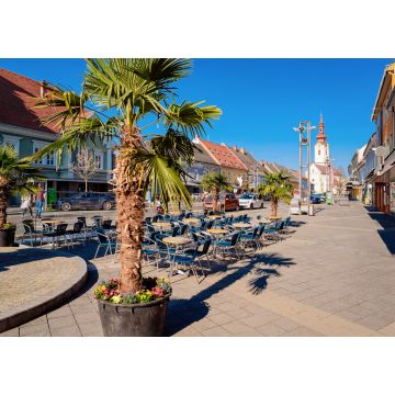 Lais Puzzle - Hauptplatz mit Palmen am Straßencafé und der katholischen Kirche St. Jakobus in der Stadt Leibnitz in der Steiermark in Österreich. Architektur des Doms - 1.000 Teile