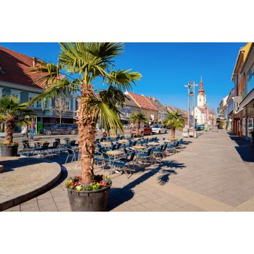 Lais Puzzle - Hauptplatz mit Palmen am Straßencafé und der katholischen Kirche St. Jakobus in der Stadt Leibnitz in der Steiermark in Österreich. Architektur des Doms - 2.000 Teile