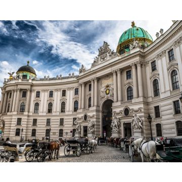 Lais Puzzle - Präsidentenresidenz, Wiener Hofburg, mit Fiakerpferden und Kutschen in der Wiener Innenstadt in Österreich - 40, 100, 200, 500, 1.000 & 2.000 Teile