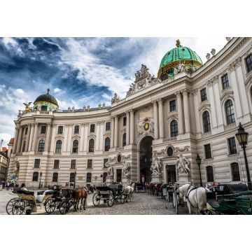 Lais Puzzle - Präsidentenresidenz, Wiener Hofburg, mit Fiakerpferden und Kutschen in der Wiener Innenstadt in Österreich - 1.000 Teile