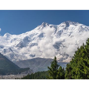 Lais Puzzle - Nanga Parbat Bergmassiv im Himalaya-Gebirge und Blick auf Kiefern von der Fairy Wiese im Sommer, Chilas, Pakistan, Asien - 40, 100, 200, 500, 1.000 & 2.000 Teile