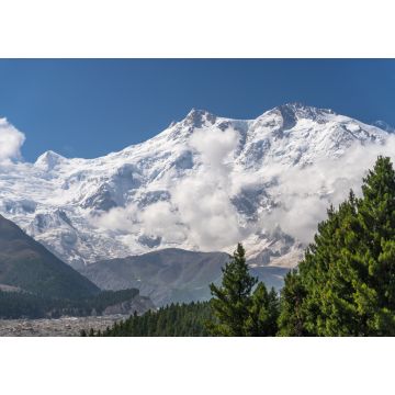 Lais Puzzle - Nanga Parbat Bergmassiv im Himalaya-Gebirge und Blick auf Kiefern von der Fairy Wiese im Sommer, Chilas, Pakistan, Asien - 1.000 Teile