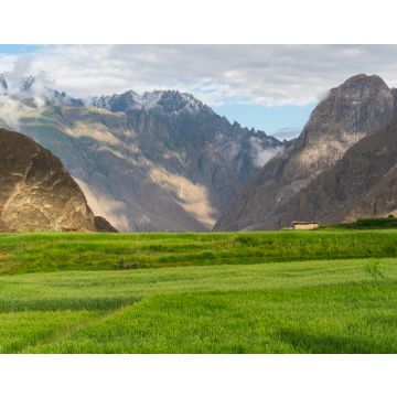 Lais Puzzle - Reisfeld in der Sommersaison im Dorf Askole auf der K2-Basislager-Trekkingroute im Karakorum-Gebirge, Gilgit Baltistan, Pakistan - 40, 100, 200, 500, 1.000 & 2.000 Teile