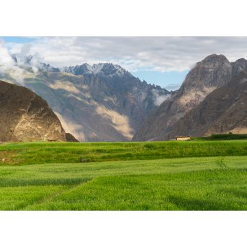 Lais Puzzle - Reisfeld in der Sommersaison im Dorf Askole auf der K2-Basislager-Trekkingroute im Karakorum-Gebirge, Gilgit Baltistan, Pakistan - 1.000 Teile
