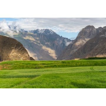 Lais Puzzle - Reisfeld in der Sommersaison im Dorf Askole auf der K2-Basislager-Trekkingroute im Karakorum-Gebirge, Gilgit Baltistan, Pakistan - 2.000 Teile