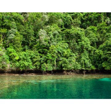 Lais Puzzle - Tropisches Korallenriff mit Mangroven in Palau - 40, 100, 200, 500, 1.000 & 2.000 Teile