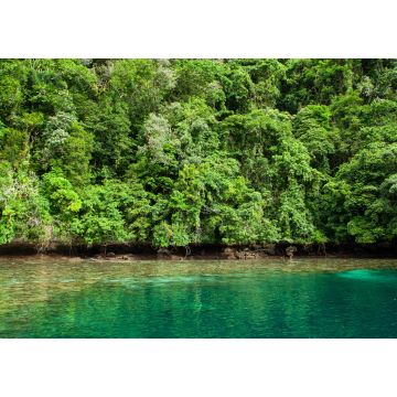 Lais Puzzle - Tropisches Korallenriff mit Mangroven in Palau - 1.000 Teile