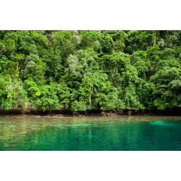 Lais Puzzle - Tropisches Korallenriff mit Mangroven in Palau - 2.000 Teile