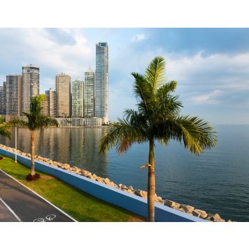 Lais Puzzle - Blick auf das Finanzviertel in der Innenstadt von Panama, Panama, mit einem Radweg und Palmen; Konzept für Reisen in Panama - 40, 100, 200, 500, 1.000 & 2.000 Teile