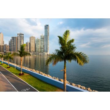 Lais Puzzle - Blick auf das Finanzviertel in der Innenstadt von Panama, Panama, mit einem Radweg und Palmen; Konzept für Reisen in Panama - 2.000 Teile
