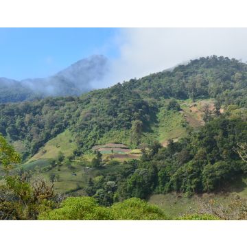 Lais Puzzle - Panoramablick Felder Panama - 40, 100, 200, 500, 1.000 & 2.000 Teile
